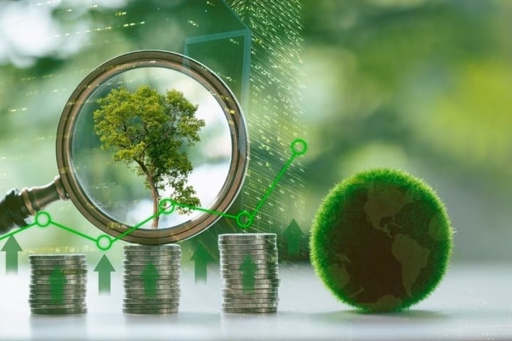 Sự hợp tác giữa JBIC và BIDV mở ra cơ hội tiếp cận vốn cho các dự án năng lượng tái tạo (Ảnh: Shutterstock)